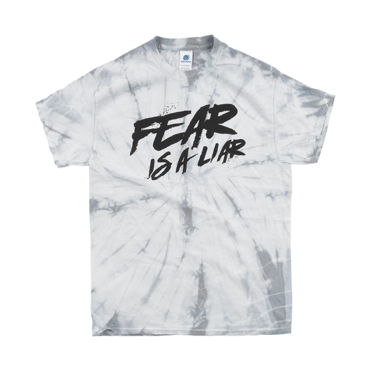 Fear Is A Liar Silver Spider Tee